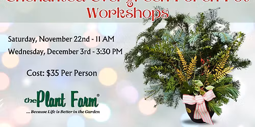 Enchanted Evergreen Porch Pot- Wednesday, December 3rd @ 3:30 PM