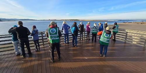 Lincoln City Bird Walk - Taft Waterfront & Siletz Bay