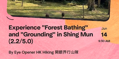 Experience "Forest Bathing" and "Grounding" in Shing Mun