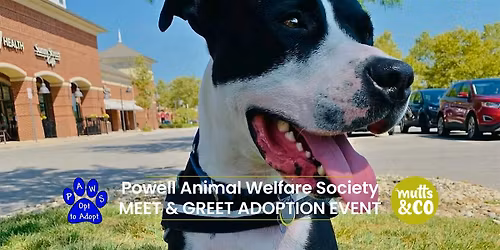 Powell Animal Welfare Society Meet & Greet (Lewis Center)