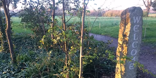 Volunteer Working Party Session