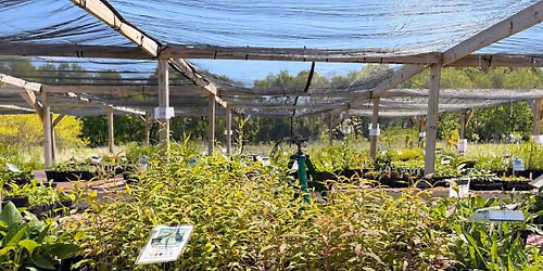 September Public Sale Day at Deeply Rooted Landscapes