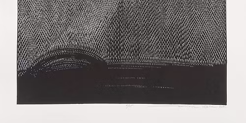 Le grand hommage a Celia Cruz