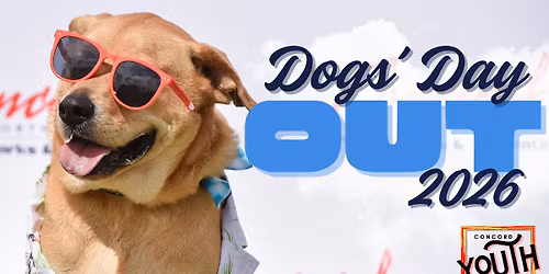 DOGS\u2019 DAY OUT