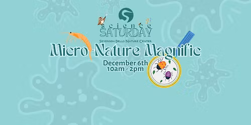 Science Saturday: Micro-Nature Magnific