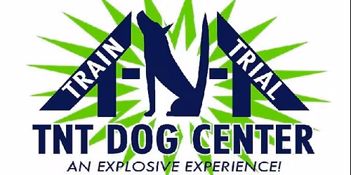 AKC Agility Trial