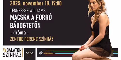 Macska a forr\u00f3 b\u00e1dogtet\u0151n - Zenthe Ferenc Sz\u00ednh\u00e1z