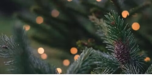 UCSFRA 2025 Annual Holiday Lunch