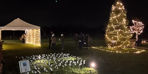 Thames Hospice Light Up A Life 2025