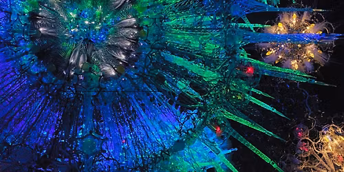 Meander: Cocktails and Canap\u00e9s