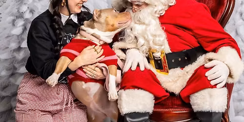 Pet Pictures with Santa Waterloo Location