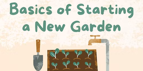 Basics of Starting a New Garden