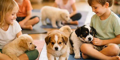 Puppy Yoga in Houston in the Memorial Area