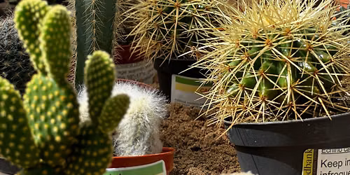 Cactus & Succulent Show & Sale — Woodbank Nurseries - Harden, Bingley