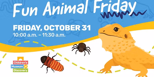 Fun Animal Friday: Spiders, Hissing Cockroaches, & a Bearded Dragon