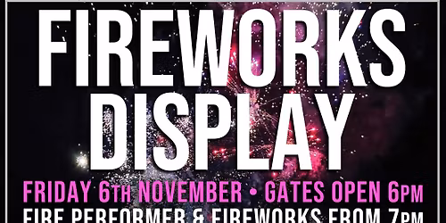 Fireworks Display & Fire Performer \ud83c\udf87
