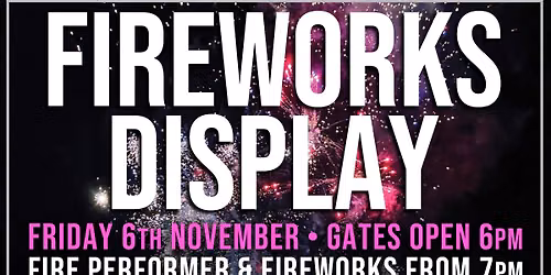 Fireworks Display & Fire Performer \ud83c\udf87