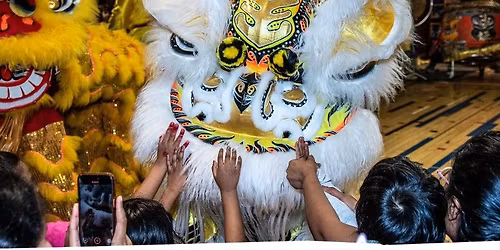 Asian American and Pacific Islander (AAPI) Heritage Celebration