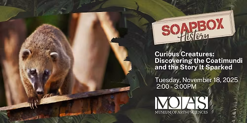 Soapbox History: Curious Creatures: Discovering the Coatimundi and the Story it Sparked
