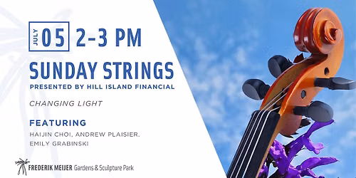 Sunday Strings - Changing Light