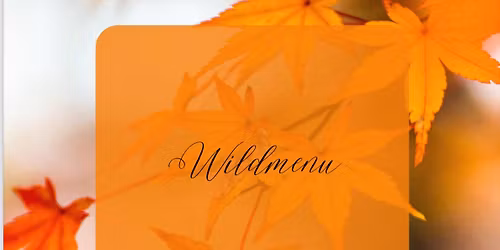 \ud83d\udc17Wildmenu