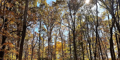 Trail Building Volunteer Day