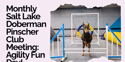 October Meeting: Agility Fun Day