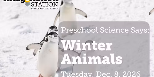 Preschool Science Says: Winter Animals
