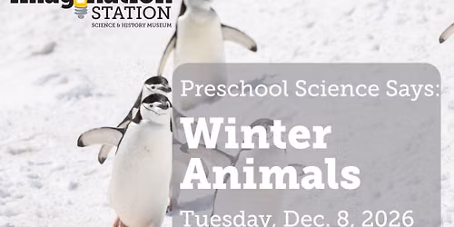 Preschool Science Says: Winter Animals