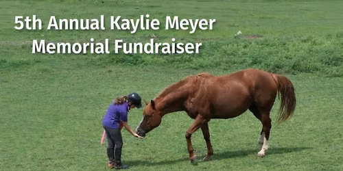 5th Annual Kaylie Meyer Memorial Fundraiser