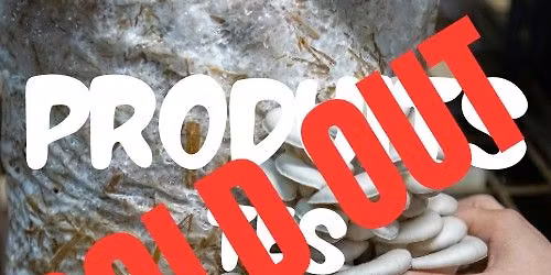 [SOLD OUT] PRODUITS TES CHAMPIS!