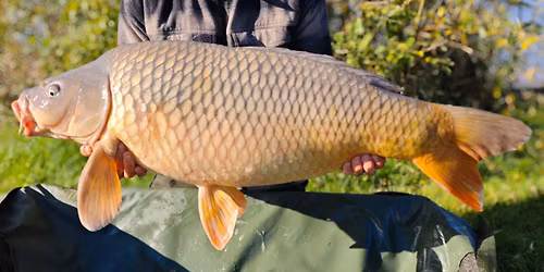 Vyv\u00e1\u017ekov\u00e9 z\u00e1vody na Medv\u011bd\u00edm Jeze\u0159e