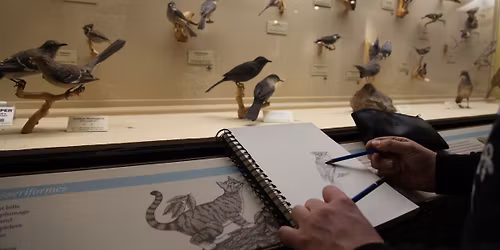 Art & Write Night