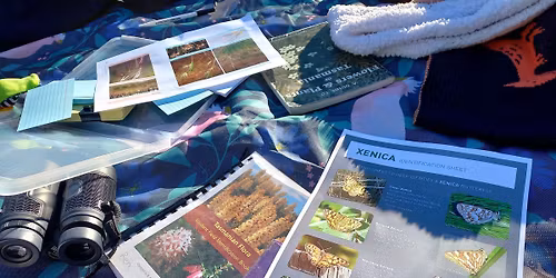 Flora Park Signage: Launch Event