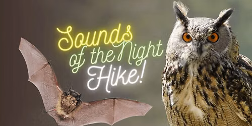 Sounds of the Night Hike (Use Link to Sign Up)
