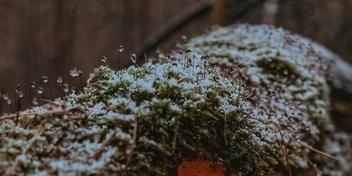 Valopolku kaikenik\u00e4isille