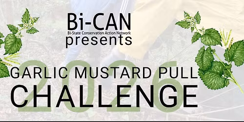 Garlic Mustard Pull Challenge