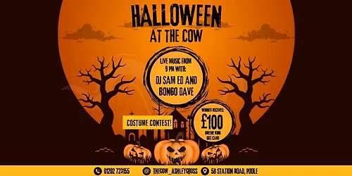 The Cow Halloween Party!