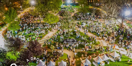 Orange Wine Festival Night Market