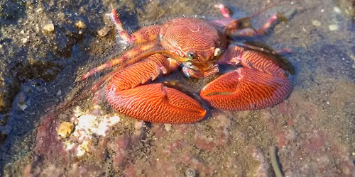 Maritime Walk at Juhu Koliwada