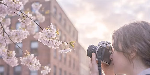 Mindful Photography Walk