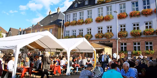 Weinherbst in Miltenberg