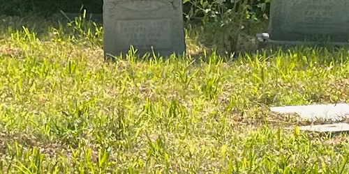 Hollywood Cemetery Restoration Continues