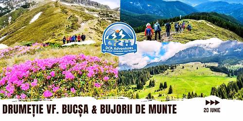 Drume\u021bie Vf.Buc\u0219a & Bujorii de Munte
