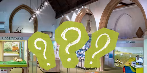 Wild About Essex: NHM Community Workshop