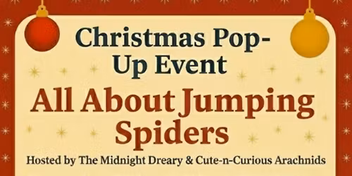 All About Jumping Spiders Christmas Pop Up Event