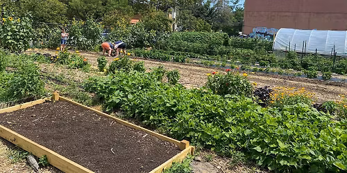 East New York Farms! Volunteer days (Wednesdays)