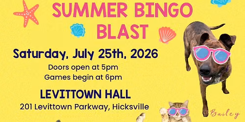 Summer Bingo Blast