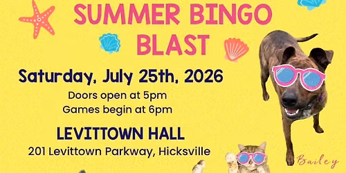 Summer Bingo Blast