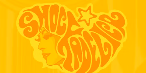 Shockadelica's Friends Live Gig